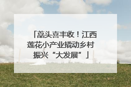 藠头喜丰收！江西莲花小产业撬动乡村振兴“大发展”