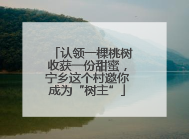 认领一棵桃树收获一份甜蜜，宁乡这个村邀你成为“树主”