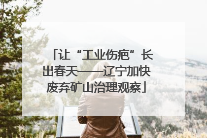 让“工业伤疤”长出春天——辽宁加快废弃矿山治理观察
