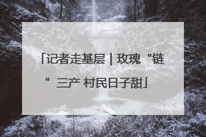 记者走基层｜玫瑰“链”三产 村民日子甜