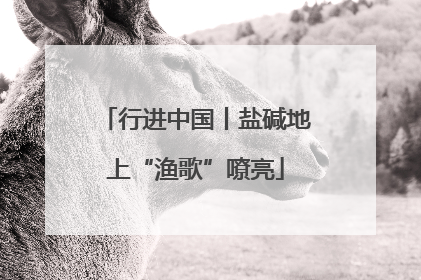 行进中国丨盐碱地上“渔歌”嘹亮