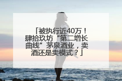 被执行近40万！肆拾玖坊“第二增长曲线”茅泉酒业，卖酒还是卖模式？