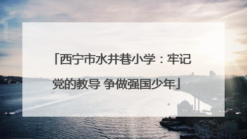 西宁市水井巷小学：牢记党的教导 争做强国少年