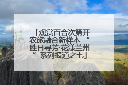 观赏百合次第开 农旅融合新样本 “胜日寻芳·花漾兰州”系列报道之七