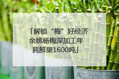 解锁“梅”好经济 余姚杨梅深加工年耗鲜果1600吨