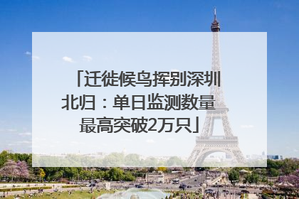 迁徙候鸟挥别深圳北归：单日监测数量最高突破2万只
