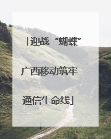 迎战“蝴蝶” 广西移动筑牢通信生命线