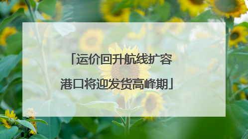 运价回升航线扩容 港口将迎发货高峰期