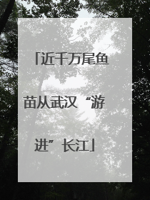 近千万尾鱼苗从武汉“游进”长江
