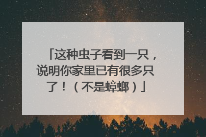 这种虫子看到一只，说明你家里已有很多只了！（不是蟑螂）
