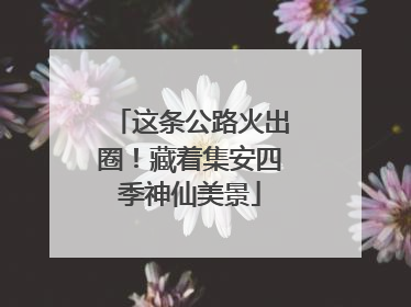 这条公路火出圈！藏着集安四季神仙美景
