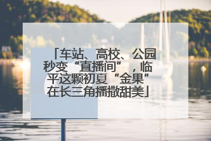 车站、高校、公园秒变“直播间”，临平这颗初夏“金果”在长三角播撒甜美