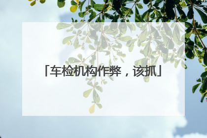 车检机构作弊，该抓