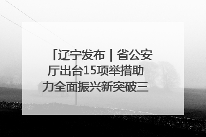 辽宁发布｜省公安厅出台15项举措助力全面振兴新突破三年行动决胜之战