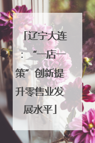 辽宁大连：“一店一策”创新提升零售业发展水平