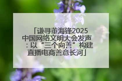谦寻董海锋2025中国网络文明大会发声：以“三个向善”构建直播电商善意长河
