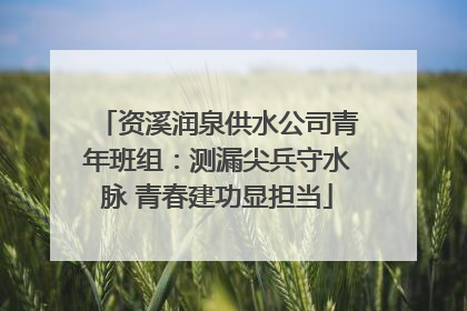 资溪润泉供水公司青年班组：测漏尖兵守水脉 青春建功显担当