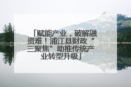 赋能产业，破解融资难！浦江县财政“三聚焦”助推传统产业转型升级