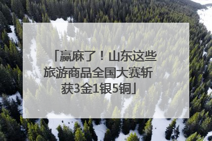 赢麻了！山东这些旅游商品全国大赛斩获3金1银5铜