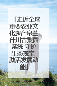走近全球重要农业文化遗产皋兰什川古梨园系统 守护生态瑰宝 激活发展动能