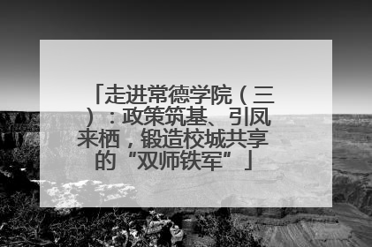 走进常德学院（三）：政策筑基、引凤来栖，锻造校城共享的“双师铁军”