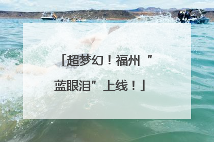 超梦幻！福州“蓝眼泪”上线！