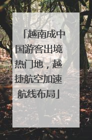 越南成中国游客出境热门地，越捷航空加速航线布局