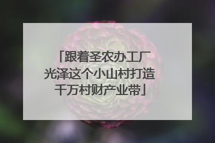 跟着圣农办工厂 光泽这个小山村打造千万村财产业带