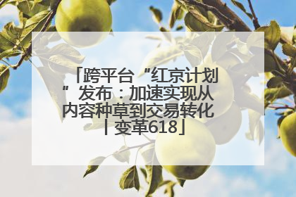 跨平台“红京计划”发布：加速实现从内容种草到交易转化丨变革618