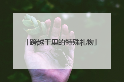 跨越千里的特殊礼物