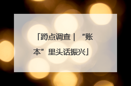 蹲点调查｜“账本”里头话振兴