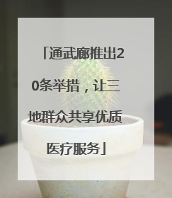 通武廊推出20条举措，让三地群众共享优质医疗服务