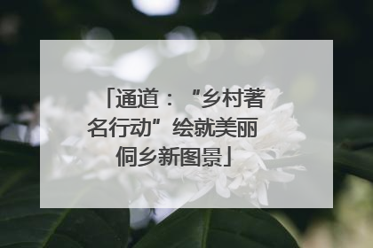 通道：“乡村著名行动”绘就美丽侗乡新图景