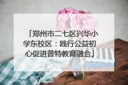 郑州市二七区兴华小学东校区：践行公益初心促进普特教育融合