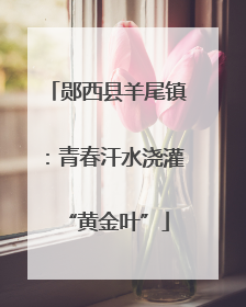 郧西县羊尾镇：青春汗水浇灌“黄金叶”