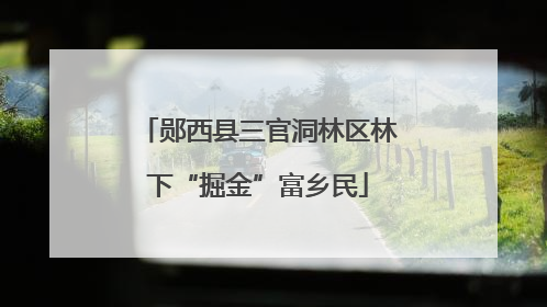 郧西县三官洞林区林下“掘金”富乡民
