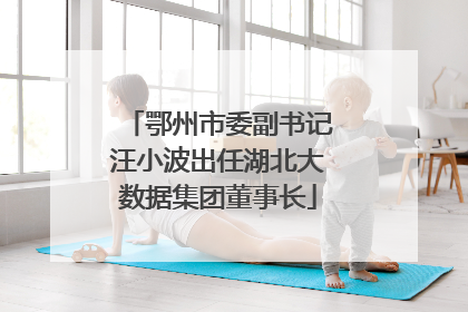 鄂州市委副书记汪小波出任湖北大数据集团董事长