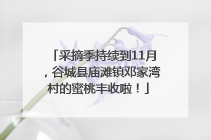 采摘季持续到11月，谷城县庙滩镇邓家湾村的蜜桃丰收啦！