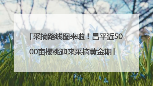 采摘路线图来啦！昌平近5000亩樱桃迎来采摘黄金期