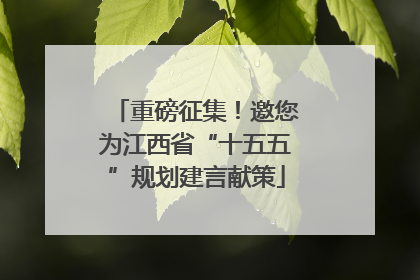 重磅征集！邀您为江西省“十五五”规划建言献策