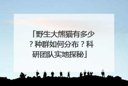 野生大熊猫有多少？种群如何分布？科研团队实地探秘