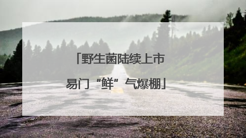 野生菌陆续上市 易门“鲜”气爆棚