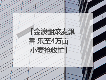 金浪翻滚麦飘香 乐至4万亩小麦抢收忙