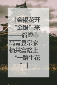 金银花开“金银”来——淄博市高青县常家镇共富路上“一路生花”