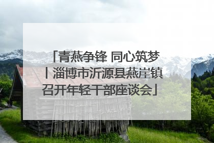 青燕争锋 同心筑梦丨淄博市沂源县燕崖镇召开年轻干部座谈会