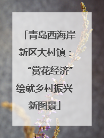 青岛西海岸新区大村镇：“赏花经济”绘就乡村振兴新图景