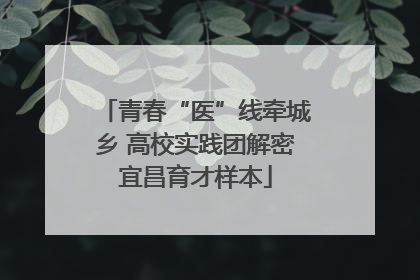 青春“医”线牵城乡 高校实践团解密宜昌育才样本