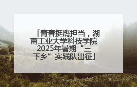 青春挺膺担当，湖南工业大学科技学院2025年暑期“三下乡”实践队出征