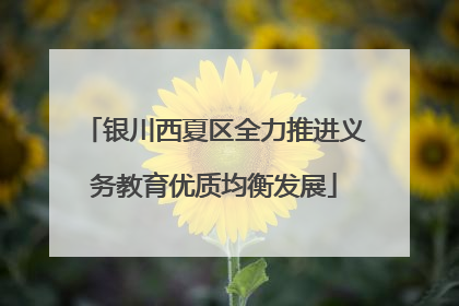 银川西夏区全力推进义务教育优质均衡发展