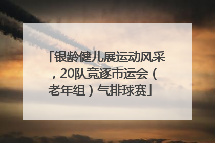 银龄健儿展运动风采，20队竞逐市运会（老年组）气排球赛